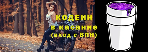 шишки Краснотурьинск